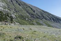 Colorado Terrain: Rocky Outcrops and Grassy Surfaces 001