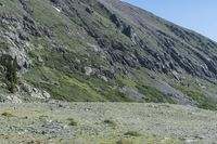 Colorado Terrain: Rocky Outcrops and Grassy Surfaces 002