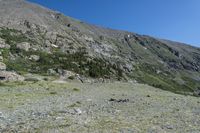 Colorado Terrain: Rocky Outcrops & Grassy Surfaces 003