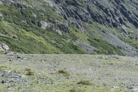 Colorado Terrain: Rocky Outcrops and Grassy Surfaces 004