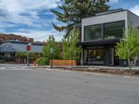 street corner with tree on the corner of the corner and a building behind it that is surrounded by multiple windows and a perforated brown lattice