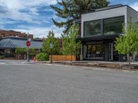 street corner with tree on the corner of the corner and a building behind it that is surrounded by multiple windows and a perforated brown lattice