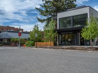 street corner with tree on the corner of the corner and a building behind it that is surrounded by multiple windows and a perforated brown lattice