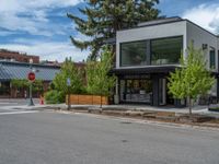 street corner with tree on the corner of the corner and a building behind it that is surrounded by multiple windows and a perforated brown lattice