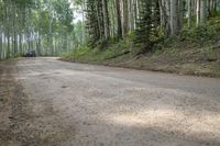 a truck driving down an unpaved road next to a forest of trees and a dirt road