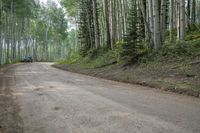 a truck driving down an unpaved road next to a forest of trees and a dirt road