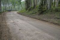 a truck driving down an unpaved road next to a forest of trees and a dirt road