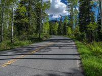 a scenic, winding road on the edge of a mountain range surrounded by tall trees