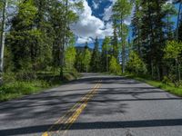 a scenic, winding road on the edge of a mountain range surrounded by tall trees