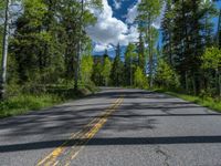 a scenic, winding road on the edge of a mountain range surrounded by tall trees