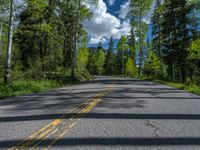 a scenic, winding road on the edge of a mountain range surrounded by tall trees