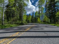 a scenic, winding road on the edge of a mountain range surrounded by tall trees