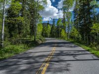 a scenic, winding road on the edge of a mountain range surrounded by tall trees