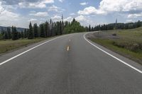 Colorado, USA: Asphalt Road through Forest