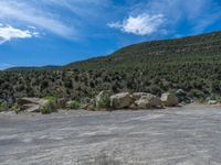 Colorado, USA: Clear Sky Landscape