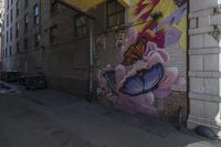 Street Art in Denver, Colorado: Exploring the Alleyways