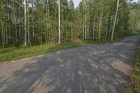 Colorado USA Forest Mountain Landscape 003