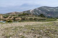 a field of grass and weeds near a mountain with some hills in the distance,