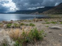 Colorado, USA Landscape: Open Space with Beach and Lake