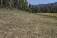 Rugged Grassy Fields in Colorado, USA Landscape (001)