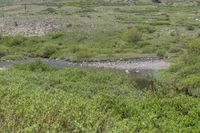 Colorado USA Landscape Scenic View 001