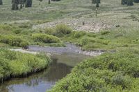 Colorado USA Landscape Scenic View 003