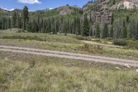 Colorado USA Mountain Forest Landscape 001