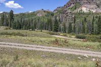 Colorado, USA Mountain Forest Landscape 002