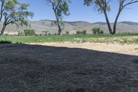 view from the back of a horse's barn with hay on the ground and trees to the right of it