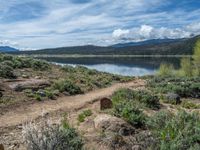 Mountain Lake Landscape in Colorado, USA