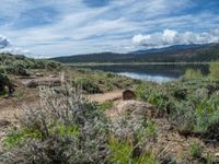 Mountain Lake Landscape in Colorado, USA