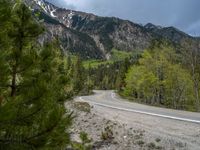 a curve road through a forest with a mountain range in the distance in the background