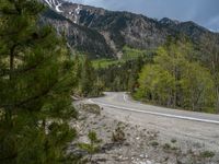 a curve road through a forest with a mountain range in the distance in the background