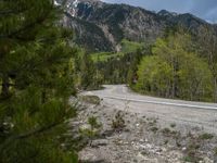 a curve road through a forest with a mountain range in the distance in the background