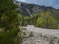 a curve road through a forest with a mountain range in the distance in the background