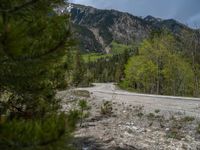 a curve road through a forest with a mountain range in the distance in the background