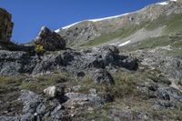 person with a backpack standing on top of a mountain slope covered in rocks and green grass