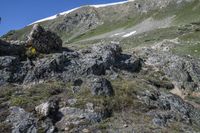 person with a backpack standing on top of a mountain slope covered in rocks and green grass