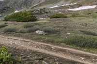 Colorado USA Mountains: Snow Off-Road Track 003