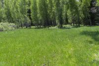 Nature's Scenic Views: Colorado, USA