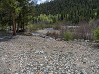 a forest is seen in this wide angle view in this photo from the bottom of the trail