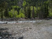 a forest is seen in this wide angle view in this photo from the bottom of the trail