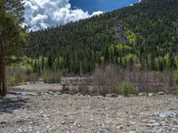 a forest is seen in this wide angle view in this photo from the bottom of the trail