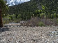 a forest is seen in this wide angle view in this photo from the bottom of the trail