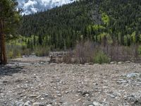 a forest is seen in this wide angle view in this photo from the bottom of the trail