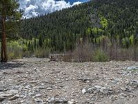 a forest is seen in this wide angle view in this photo from the bottom of the trail