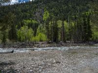 a forest is seen in this wide angle view in this photo from the bottom of the trail