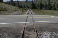 the tracks on the road side are empty or deserted, as the railroad is in the center of the landscape