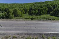 an empty road and trees on a hillside near water valley, washington, near strath