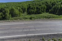 an empty road and trees on a hillside near water valley, washington, near strath